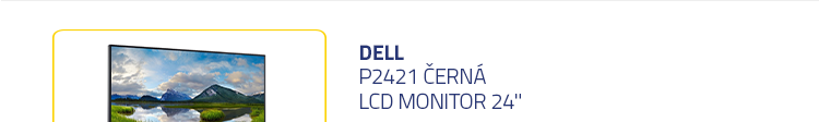 LCD Monitor 24" DELL P2421 černá
