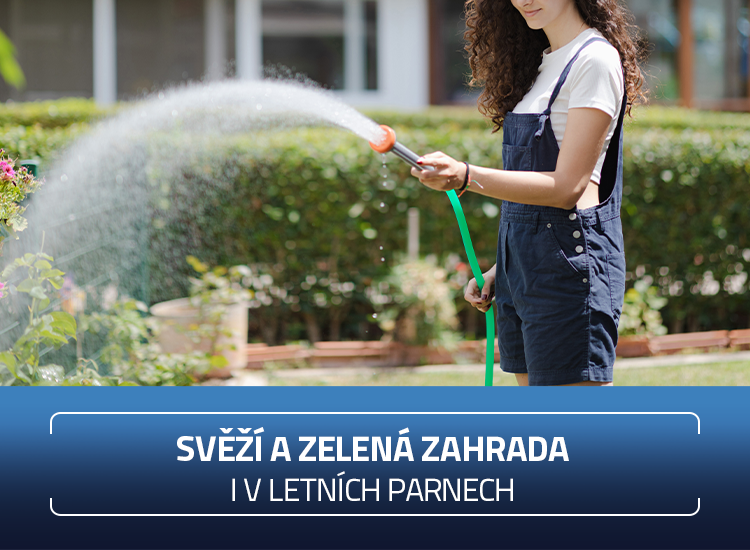 Zavlazovani