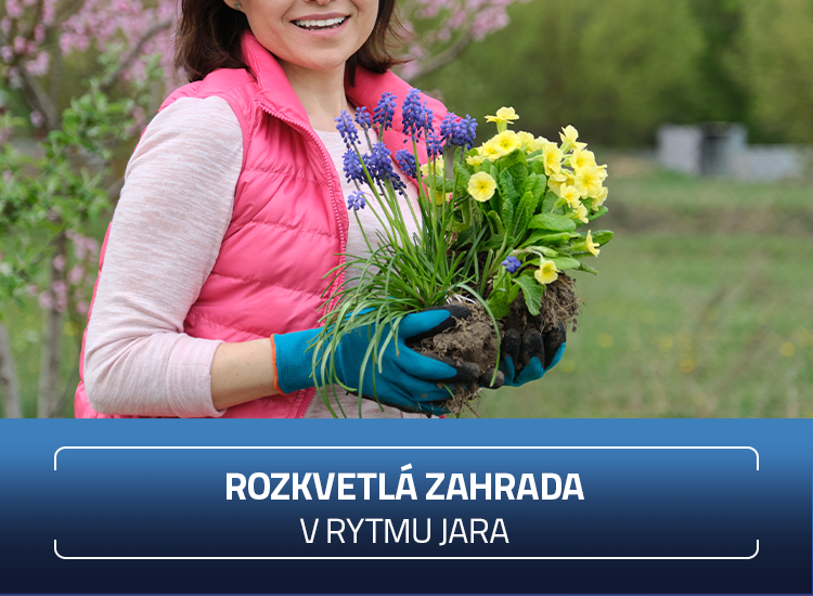 Zahrada