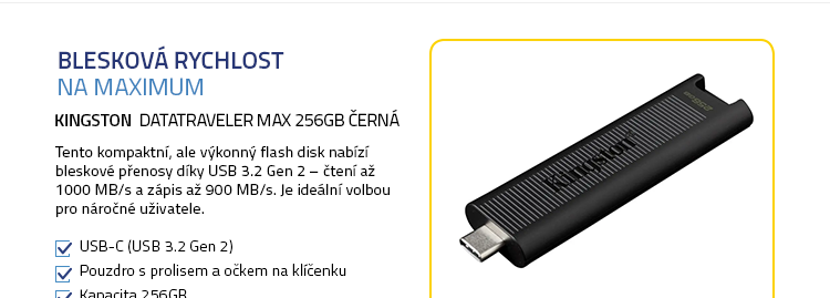 Kingston DataTraveler Max 256GB černá