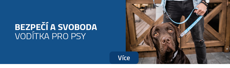 Vodítka pro psy