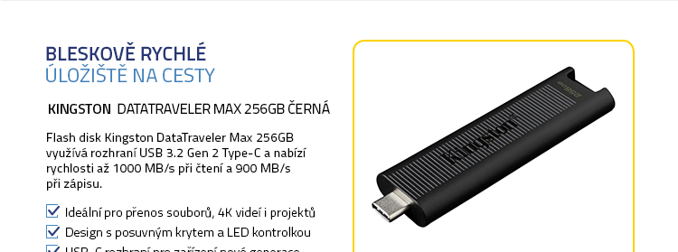 Kingston DataTraveler Max 256GB černá