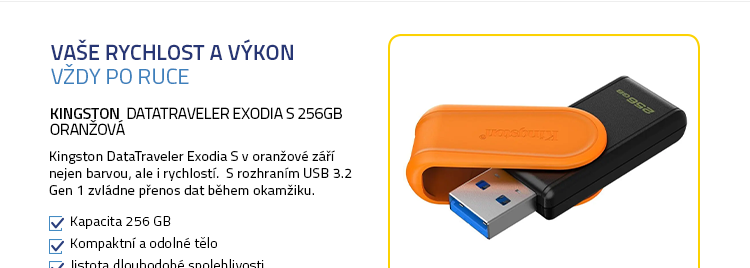 Kingston DataTraveler Exodia S 256GB Oranžová