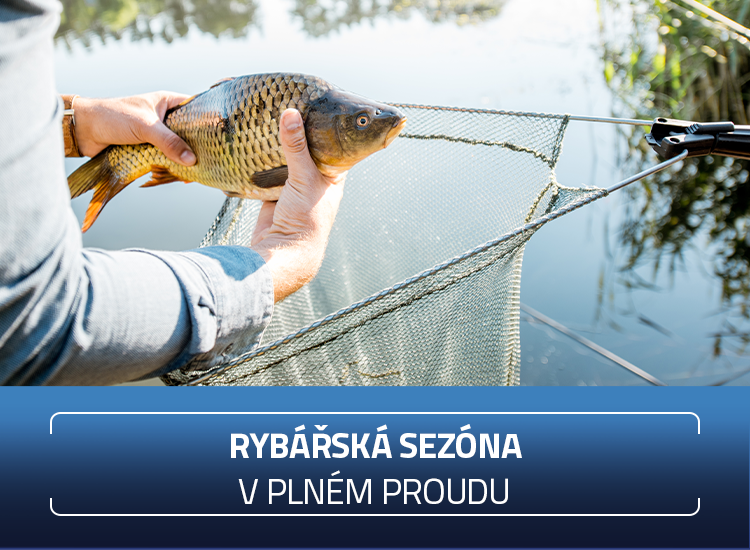 Rybářství