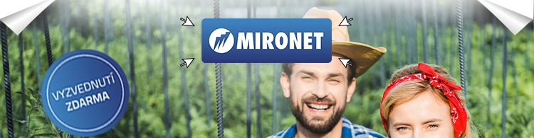 Mironet