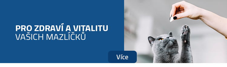 Zdraví zvířat